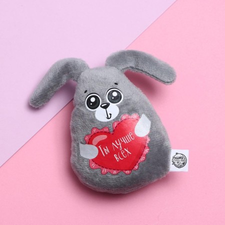 Soft toy-Magnet "You are the best", bunny-1