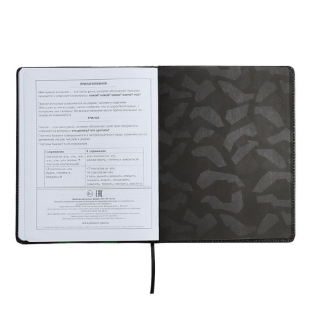 Universal Diary Grade 1-11, 48 sheets "fighter", solid cover of artificial leather, lies, universal cheat sheet, block 80 g/m2-11