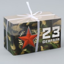 Capcake box, confectionery packaging, 2 cells, Zvezda, February 23, 16 x 8 x 10 cm