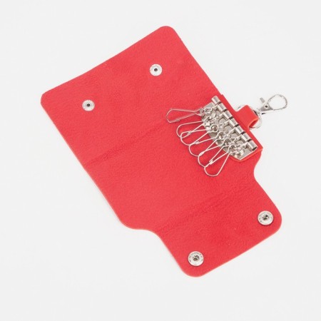 Key on the buttons, length 11 cm, 7 carabiners, red color-2