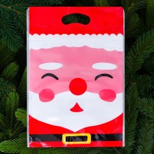 Новый год. Пакет подарочный, с zip-lock застежкой, "Дед Мороз", 15х23 ± 1см.