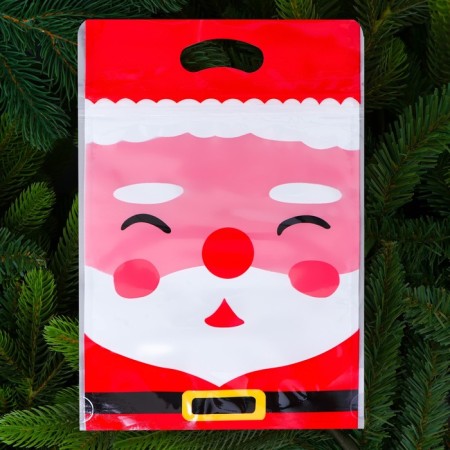 New Year. Gift package, with zip-lock fastener, "Santa Claus", 15x23 ± 1cm.