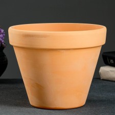 Flower pot 