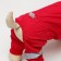 Options for animals "Firefighter", fleece, XS (DS 18-20, Osh 24, OG 27-30 cm) Red Red