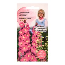 Flower seeds Dolphinium 