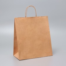 Package Craft without print, twisted handle, 28 x 15 x 32 cm