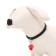 Figure addressee for engraving "paw", 2.6 x 3.2 cm, red