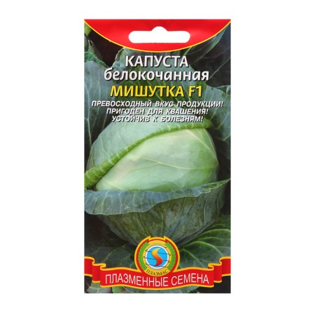 Cabbage Cabbage seeds F1