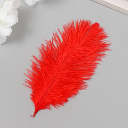 Decorative ostrich feather "Red" h = 15-20 cm