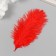 Decorative ostrich feather "Red" h = 15-20 cm