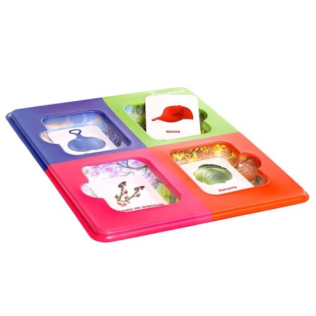 Sorter "Study the Seasons" with Doman's cards-2