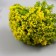 Artificial plant for creativity plastic "yellow acacia" 6 cm
