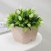 Pot with the pallet "Classic", 1 l, beige color