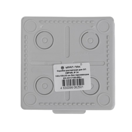 Ural Broke Ural Pak, 100x100x50, IP54, 8VX, without Germanwounds, gray, Co-53117100-060-2