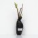 Edible honeysuckle (Northern Garden series) "Souvenir", 1 pc, tube, spring 2024