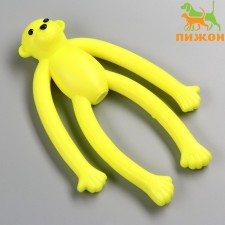 A toy for dogs 