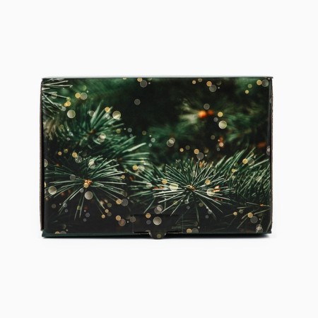 Folding box "Winter Tale", 22 x 15 x 10 cm, New Year-2