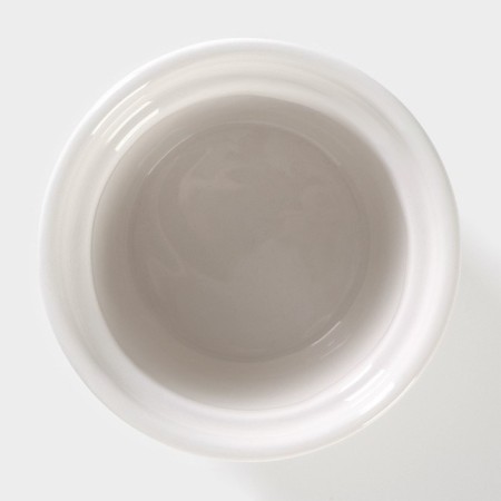 Ceramic Bank for spices of the Cactus, 150 ml, 8 × 8 × 14 cm-3