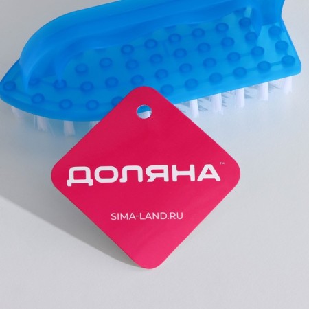 Brush-mustoclabox of the share, 12.5 × 5.5 × 5 cm, color mix-8