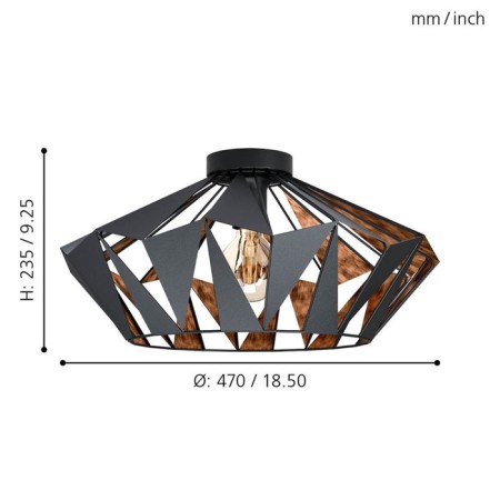 CARLTON 1x60W Ceiling Lumina-2