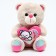 Soft toy "Bear", 25 cm, color mix