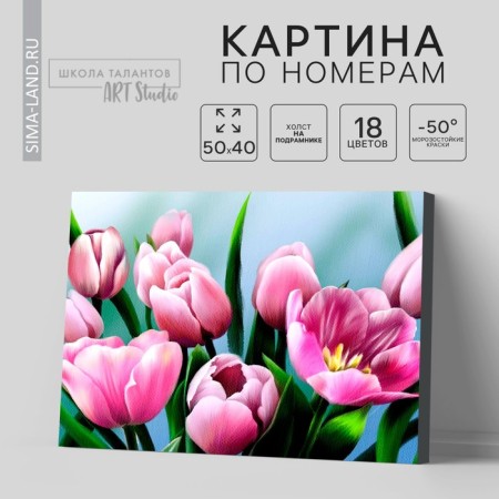 Picture on numbers on canvas with a subframe of "tulips", 40 x 50 cm