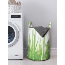 Basket for storing things 