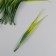 Artificial plant for creativity "blade of grass" set of 12 pcs 22 cm