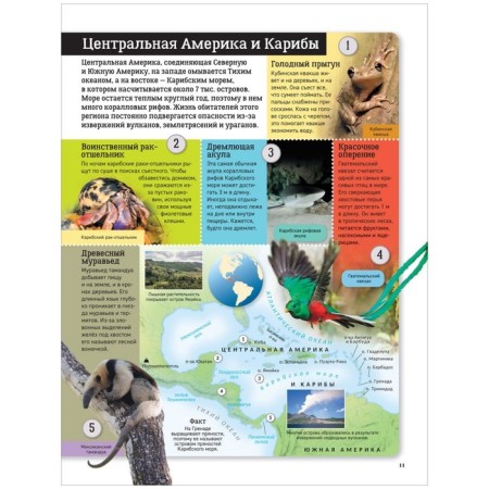 Детский атлас. Животные мира. Травина И.В.-9