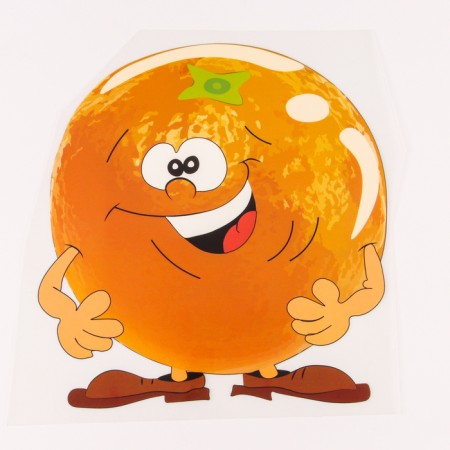 Thermalrotransfer "Orange", set of 10 pcs.