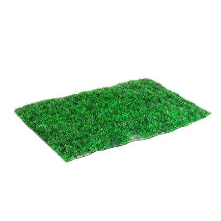 Decorative panel, 60 × 40 cm, "Asparagus", Greengo-14
