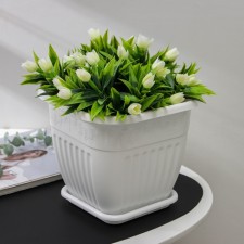 Pot with the Podon 