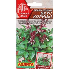 Basil seeds of vegetable 