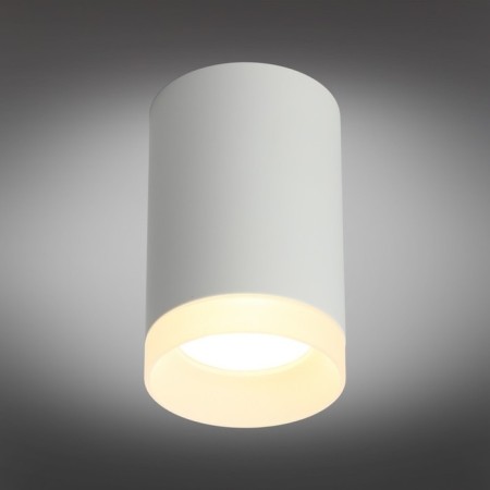 Rotondo gu10 50W lamp-1