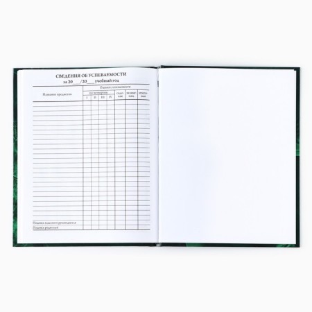 School diary for grade 1-11, in a solid cover, 40 l. "Emerald marble"-4