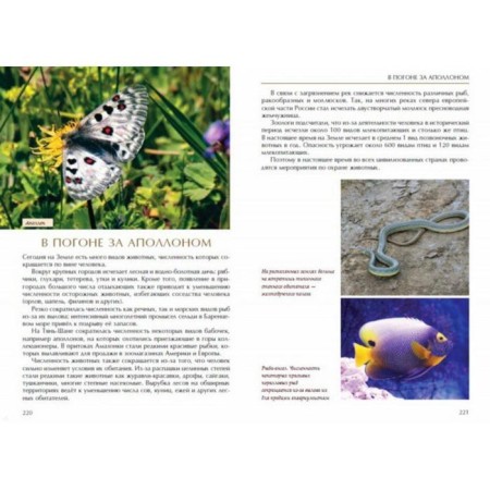 Ecology is interesting. Babenko V.-5