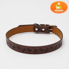 A collar with a base of thermoplastic rubber with embossing 