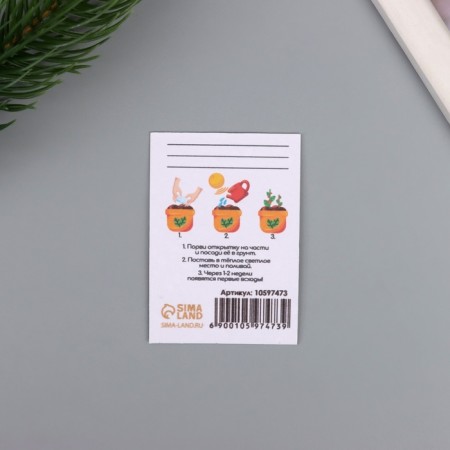 Postcard with seeds "grow itself" "snake" 5*7cm-2