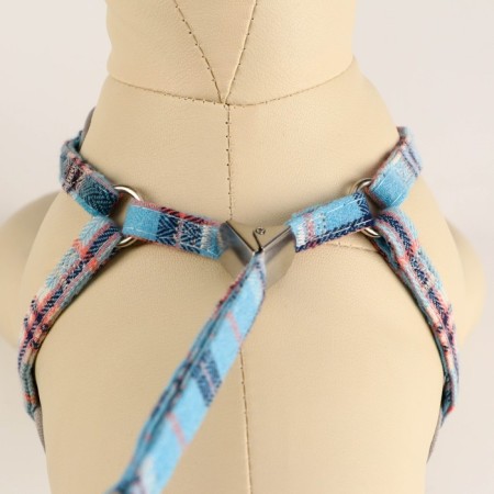 A set of ammunition with a soft harness, leash 120 x 1 cm, Osh 28-54 cm, OG 36-60 cm, gray-blue.-4