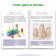 The book "Sensory development. We develop with Montessori ”, 32 p.