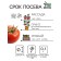 Seeds Tomat "Volgograd High Stone 323", 0.1 g