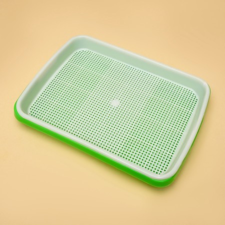 Tray for germination of grass to cats with a lid, 32 x 23.5 x 5 cm-1