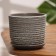 Flower Pot "Vine" Green gray Book No. 1, 0.8 liters