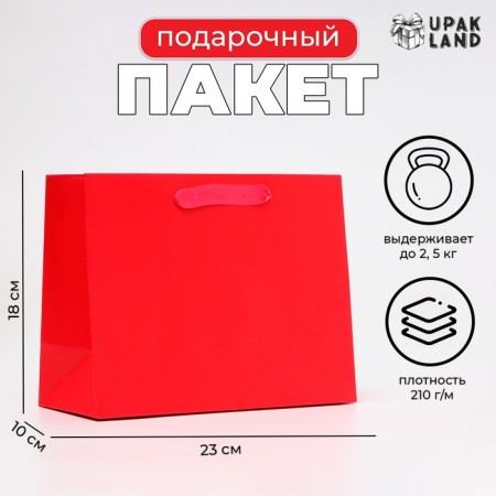 Laminated package "Fuchsia", MS 23 × 18 × 10 cm
