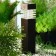 Garden lamp on the sunny battery "Police", 6 × 39 × 6 cm, 1 LED, glow white glow