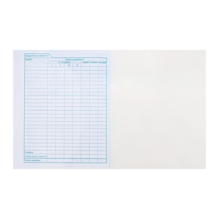 School diary for grades 1-11 Militari, cover of coated cardboard, 40 sheets-7