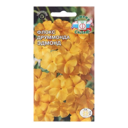 Flowers Flox "Edmond", Euro, 0.2 g