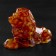 Souvenir "Leo", amber