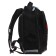 School backpack, 37 x 27 x 16 cm, ergonomic back, calligrata b "sneakers"