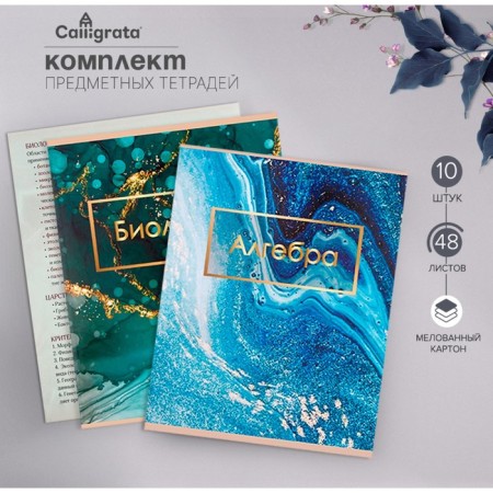 A set of subject notebooks of 48 sheets "light marble", 10 items, with reference material, covered cardboard, UV-lak (full), an offset unit